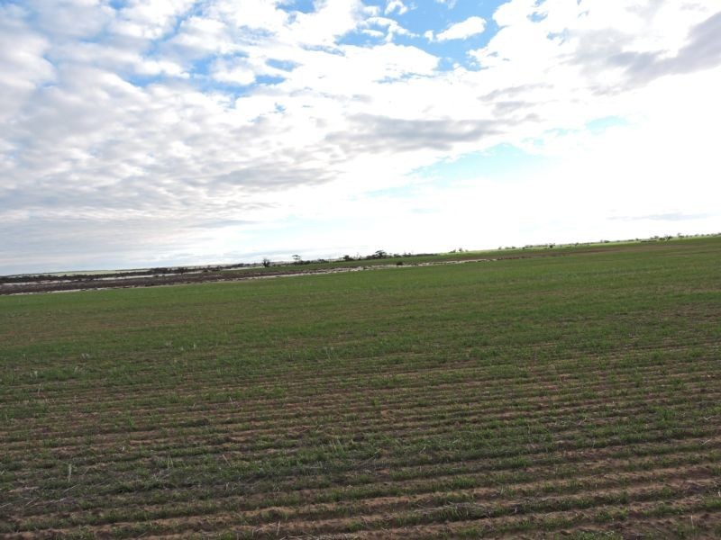 Lot 11068,  Hine Hill Road, Hines Hill WA 6413