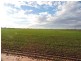 Lot 11068,  Hine Hill Road, Hines Hill WA 6413
