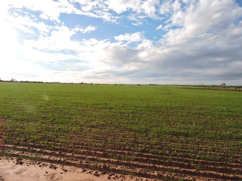 Lot 11068,  Hine Hill Road, Hines Hill WA 6413
