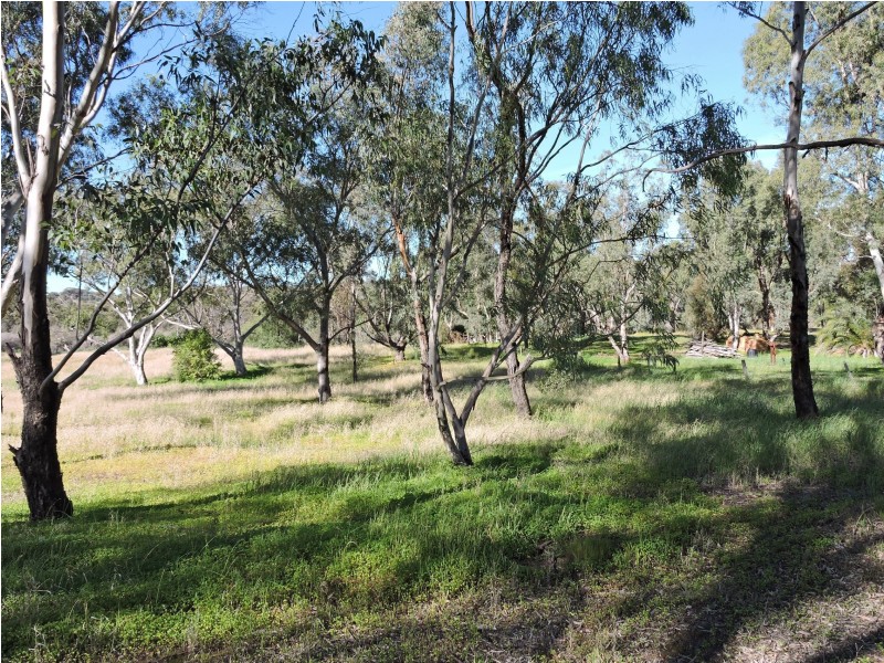 236 AVON TERRACE, York WA 6302