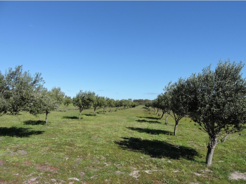 3122 QUAIRADING-YORK ROAD, Beverley WA 6304