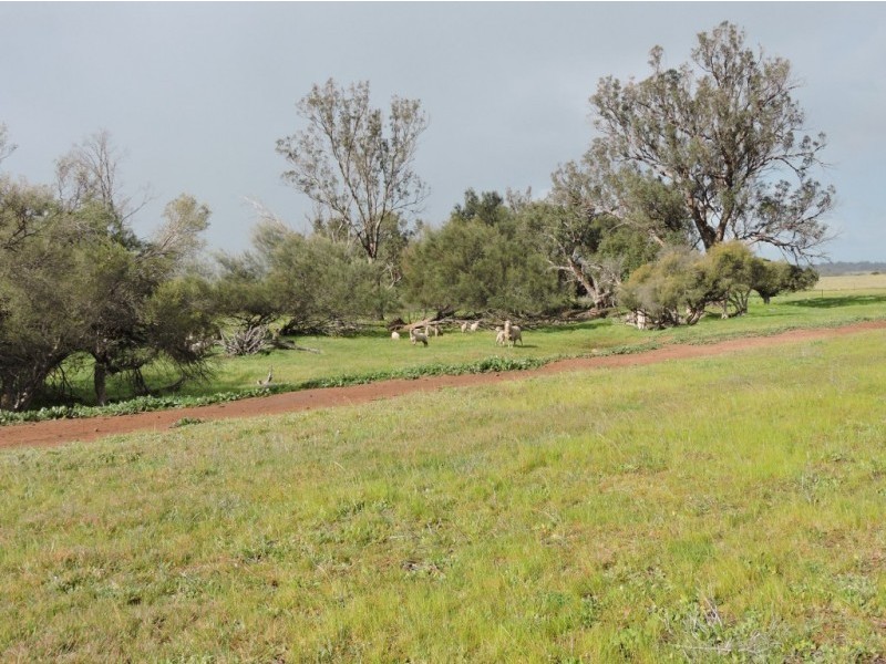 606 TELEGRAPH ROAD, Toodyay WA 6566