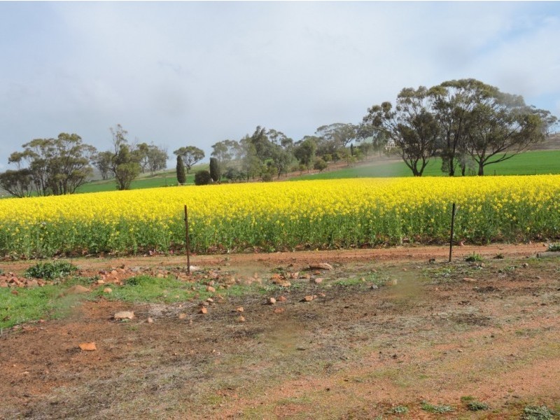 606 TELEGRAPH ROAD, Toodyay WA 6566