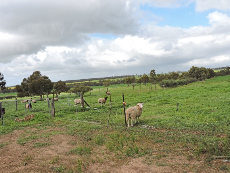 700 SEES ROAD, York WA 6302
