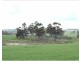 Lot 6631,  CUNDERDIN-QUAIRADING ROAD, Youndegin WA 6407