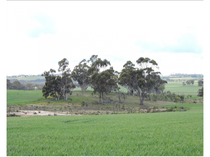 Lot 6631,  CUNDERDIN-QUAIRADING ROAD, Youndegin WA 6407