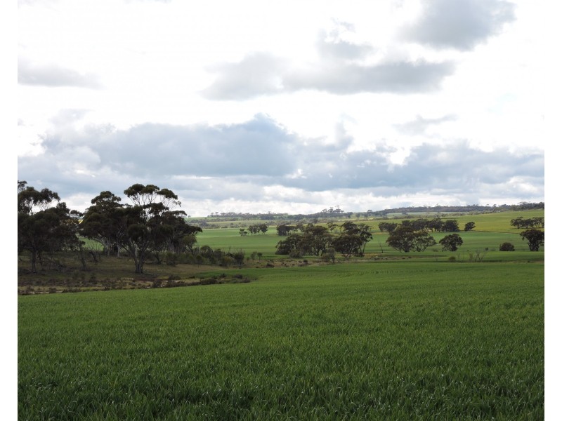 Lot 6631,  CUNDERDIN-QUAIRADING ROAD, Youndegin WA 6407