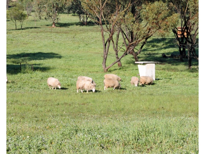 Lot 61,  Attfield Rd, York WA 6302