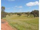 Lot 61,  Attfield Rd, York WA 6302