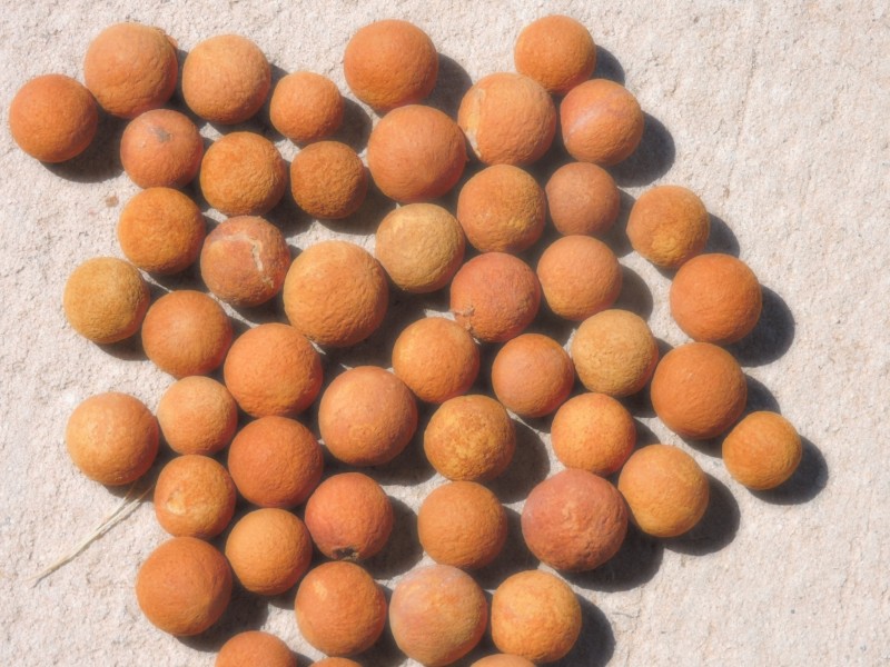 Lot 7151,  MORBINNING ROAD, EAST BEVERLEY WA, Beverley WA 6304