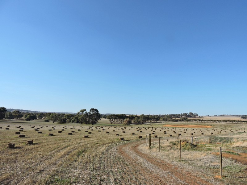 Lot 760,  YORK-WILLIAMS ROAD, Wandering WA 6308