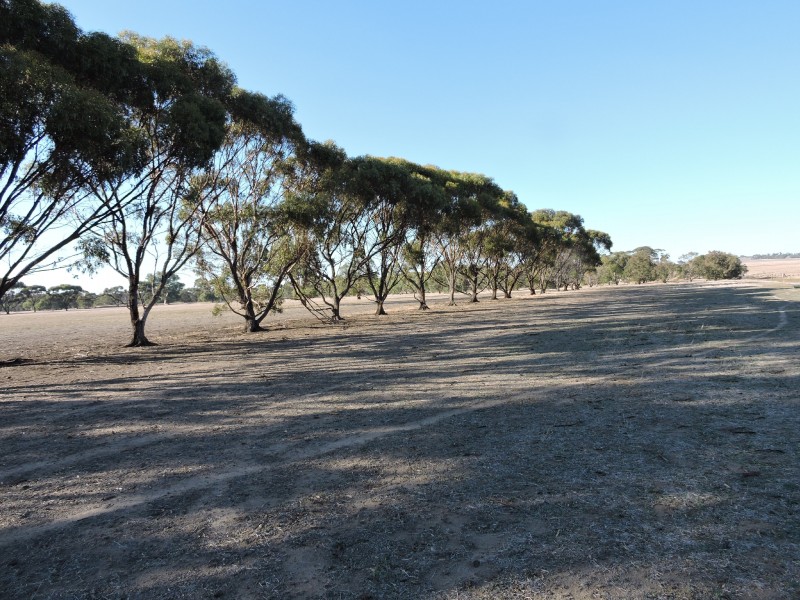 Lot 760,  YORK-WILLIAMS ROAD, Wandering WA 6308