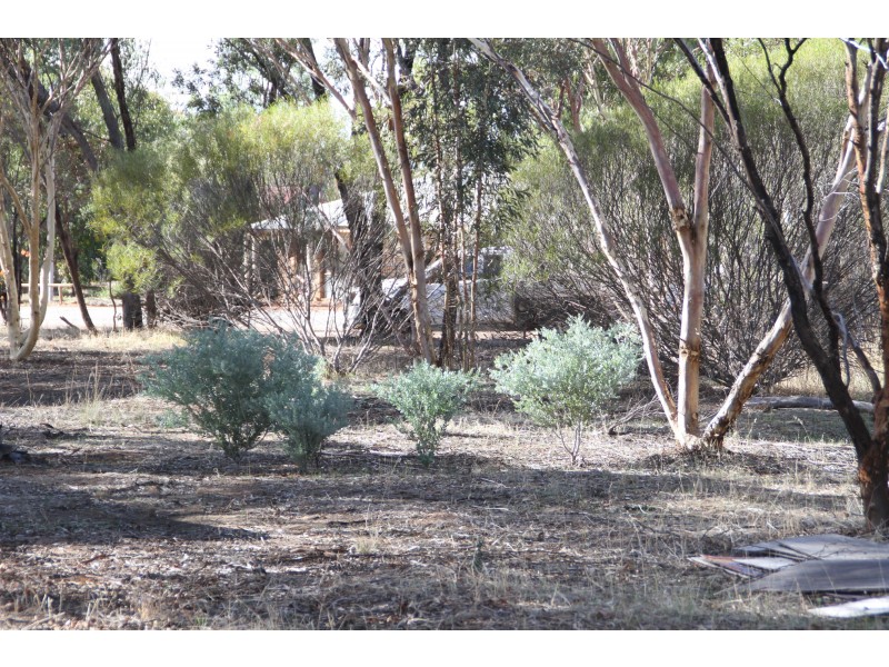 275 AVON TERRACE, York WA 6302