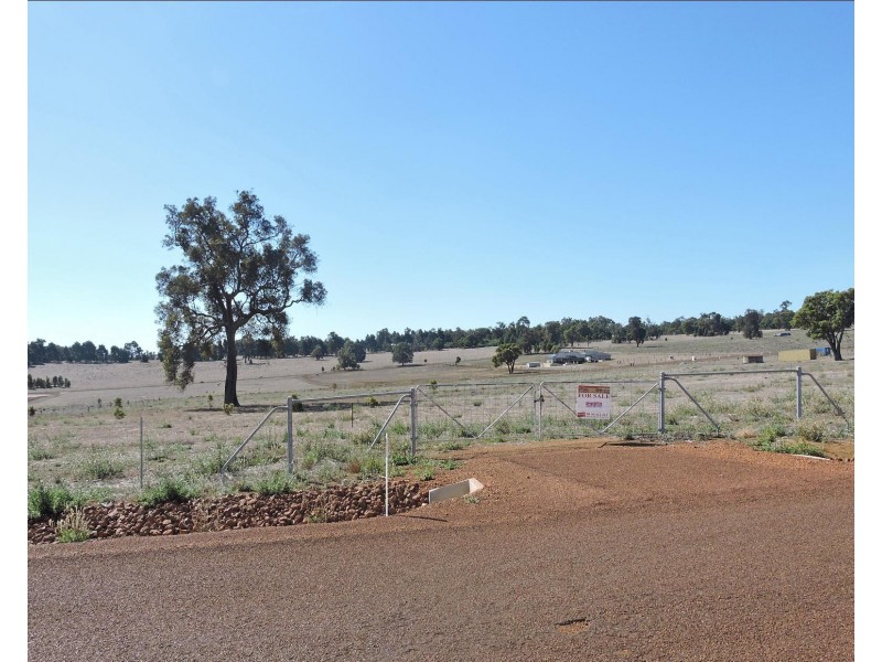 3 SPARROWHAWK ROAD, Wundowie WA 6560