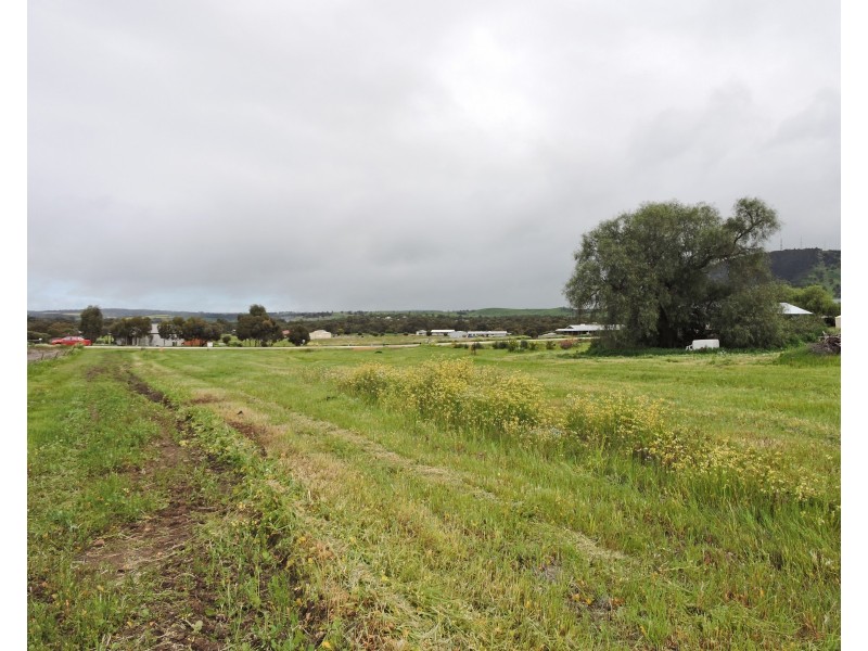 Lot 36, 14 ANDREWS AV, York WA 6302