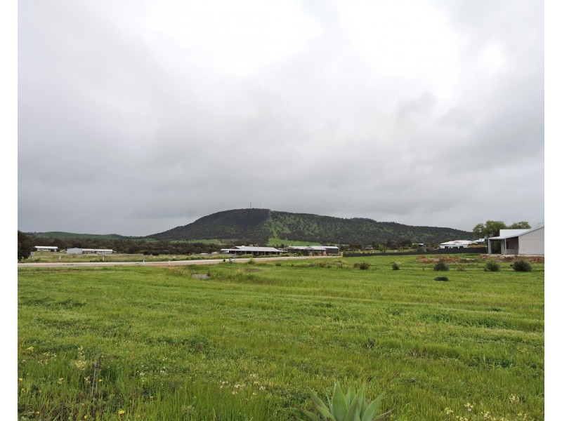 Lot 36, 14 ANDREWS AV, York WA 6302
