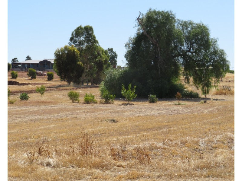 Lot 36, 14 ANDREWS AV, York WA 6302