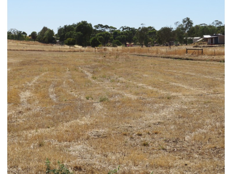 Lot 36, 14 ANDREWS AV, York WA 6302