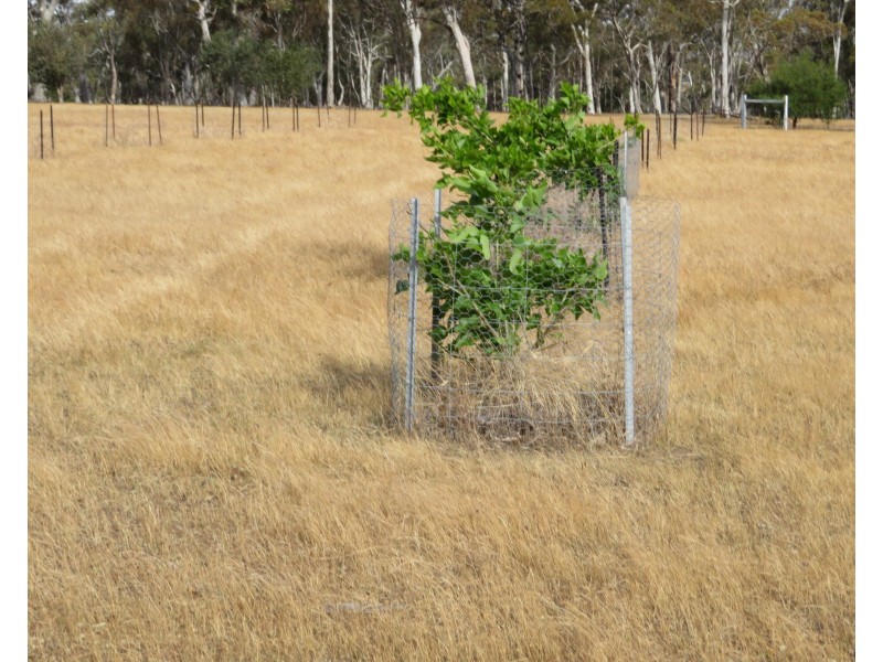 Lot 801,  Talbot West Road, York WA 6302