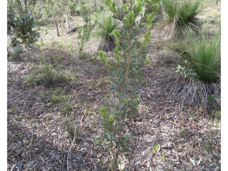 Lot 801,  Talbot West Road, York WA 6302