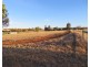 Lot 65, 50 Lewis, York WA 6302