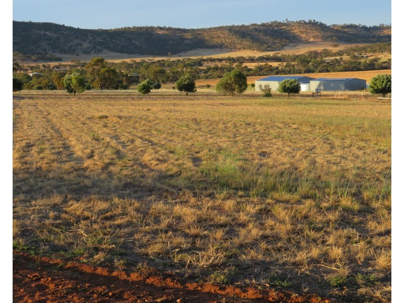 Lot 65, 50 Lewis, York WA 6302