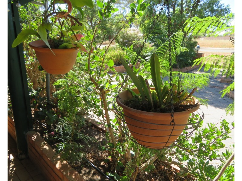 Lot 50, 15 Glass Court, York WA 6302