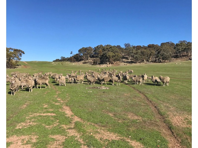 101 WEST DALE ROAD, Beverley WA 6304