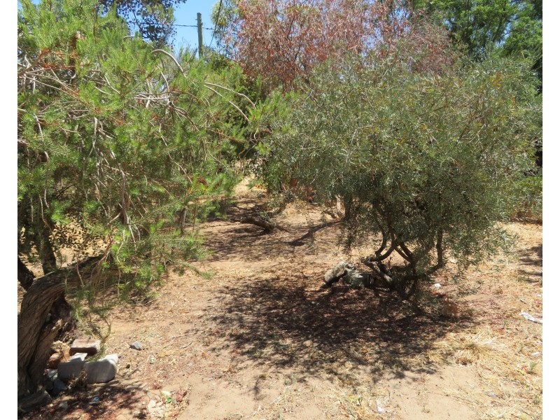 Lot 62, 12 Mansfield Street, York WA 6302