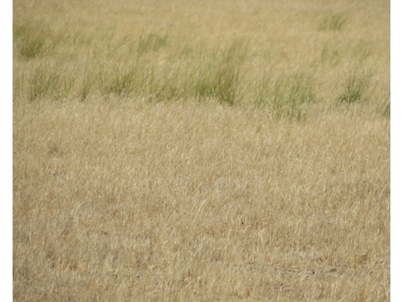 Lot 50,  Nambling South Road, Greenwoods Valley WA 6405