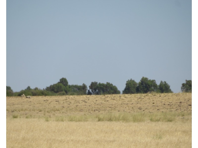 Lot 50,  Nambling South Road, Greenwoods Valley WA 6405