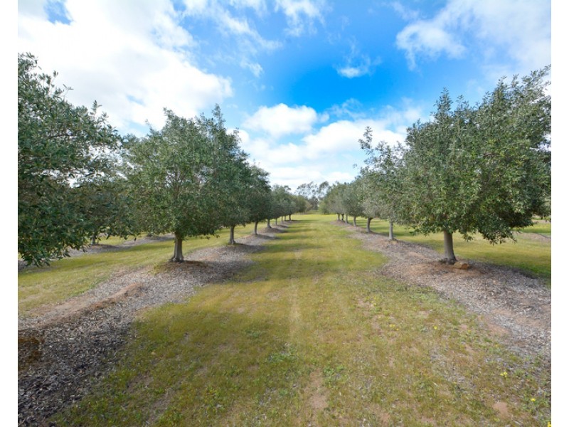 4458 Great Sothern Highway, York WA 6302