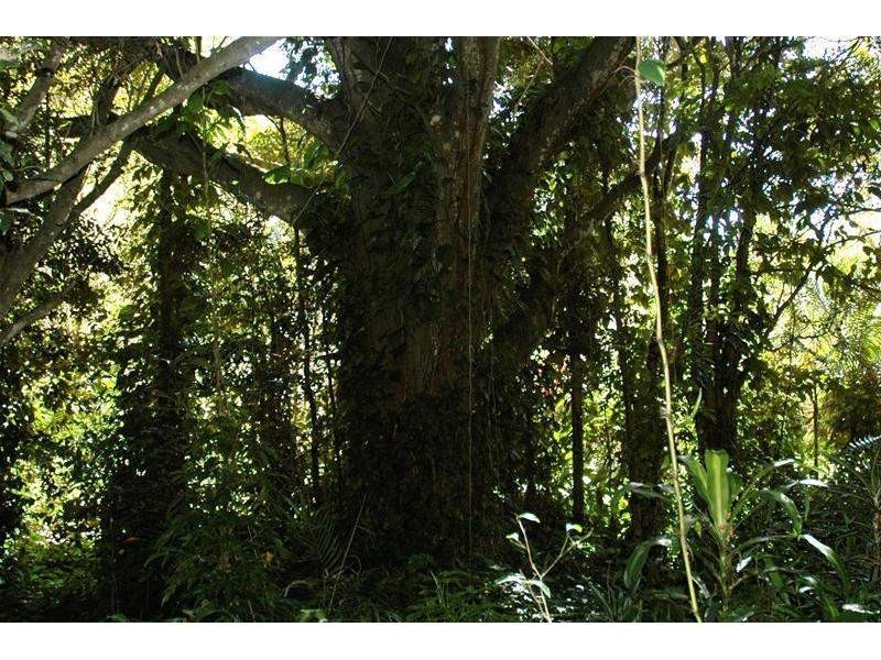 82 Francis Road, Kin Kin QLD 4571