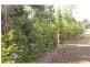 72 Edington Drive, Cooroibah QLD 4565