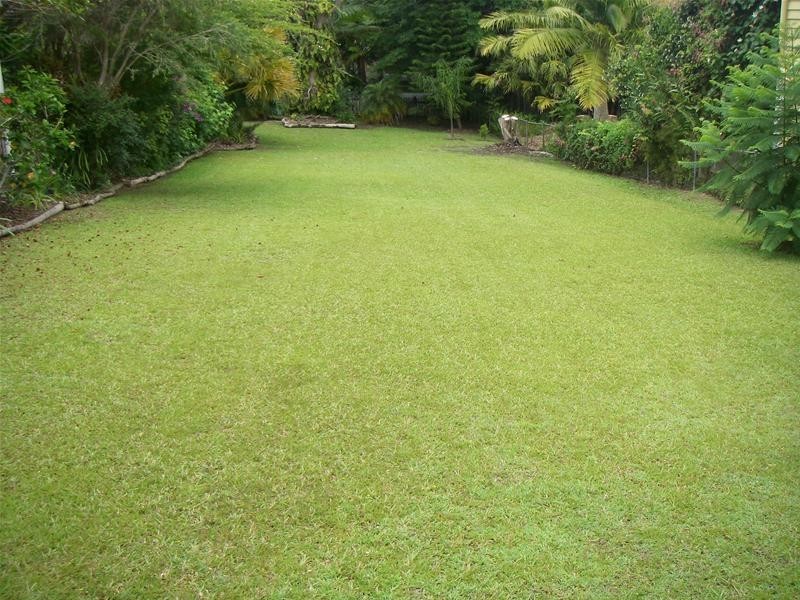 29 Hendry Street, Tewantin QLD 4565