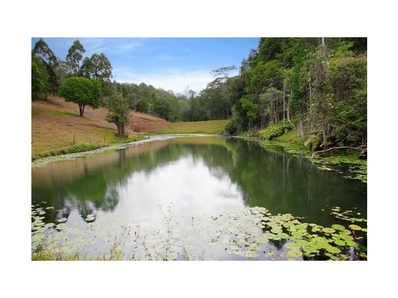 1 Spitfire Lane, Cooroy QLD 4563