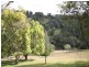 1 Spitfire Lane, Cooroy QLD 4563