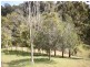 1 Spitfire Lane, Cooroy QLD 4563