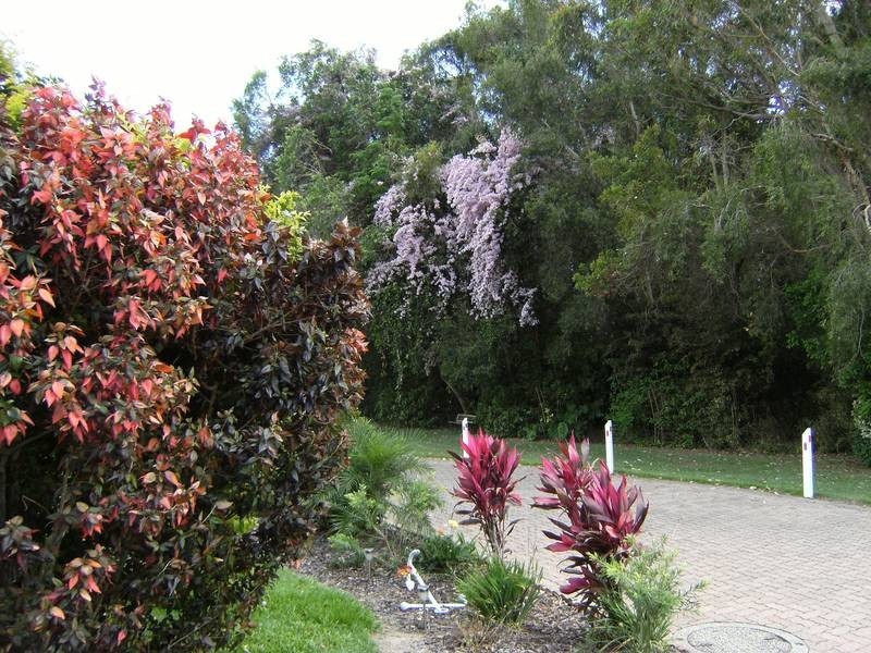 62/139 Moorindil Street, Tewantin QLD 4565