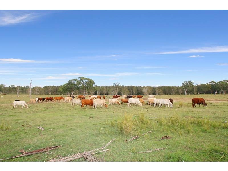 94 Murdering Creek Road, Peregian Beach QLD 4573