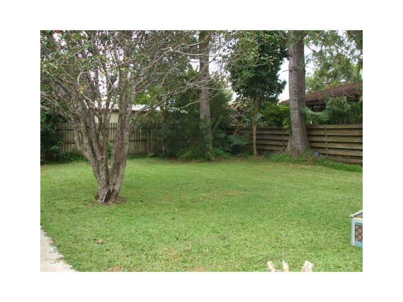 Tewantin QLD 4565