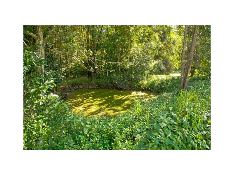 894 Eumundi Noosa Road, Doonan QLD 4562
