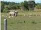 39 Eucalypt Way, Cootharaba QLD 4565