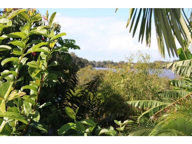 7 Goodwin Street, Tewantin QLD 4565