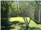 17 Cobham St, Tewantin QLD 4565
