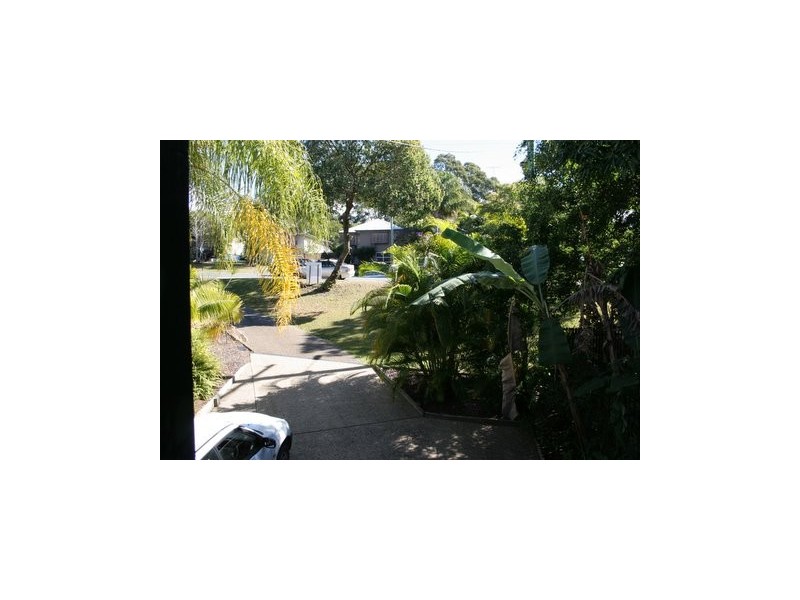 85 Moorindil St, Tewantin QLD 4565