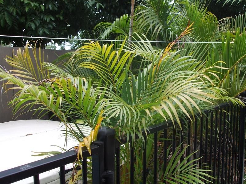 1/15 George Street, Noosaville QLD 4566