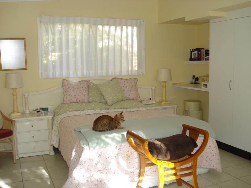 34 Waratah Cl, Tewantin QLD 4565