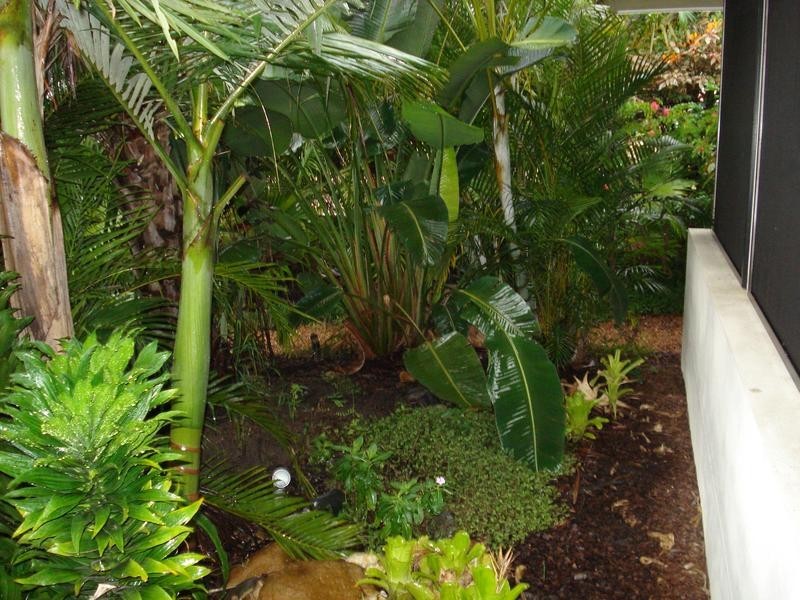 4 Arkana Dr, Noosa Heads QLD 4567