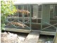 39 Wattlebird Dr, Doonan QLD 4562